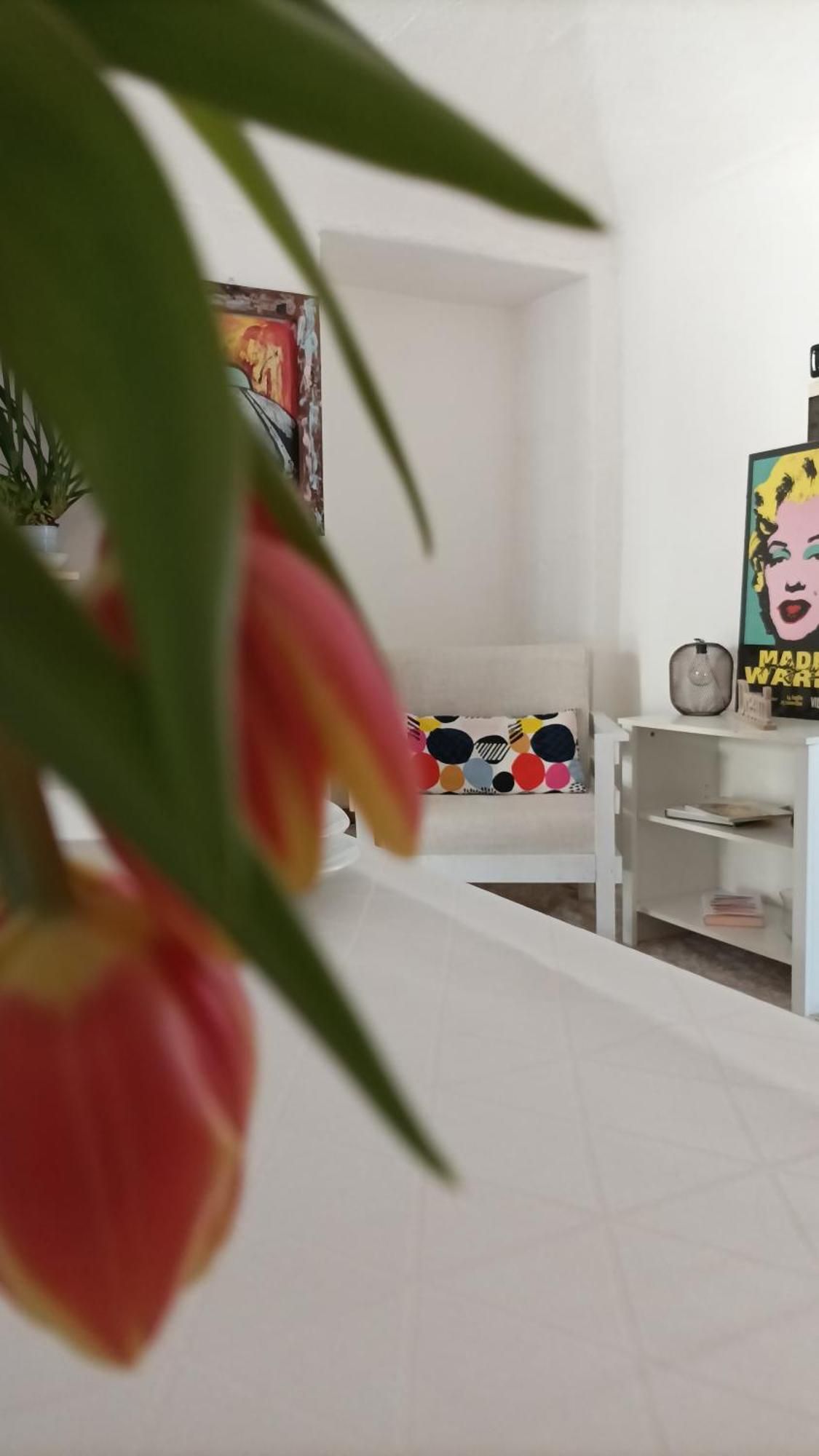 Quick Home - Interno 45 Biella Zimmer foto